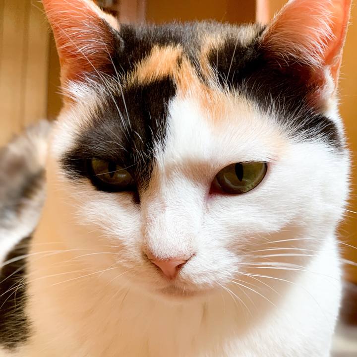 D8bc204d ae1a 427b 94b9 255940fc8db7 1562638227427