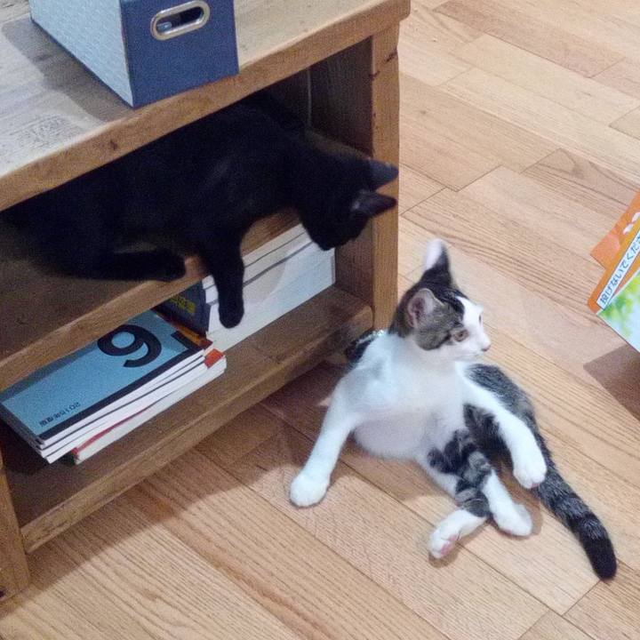 D8bc4ff3 80c8 43f8 b29d 8424484e4708 1619012963219