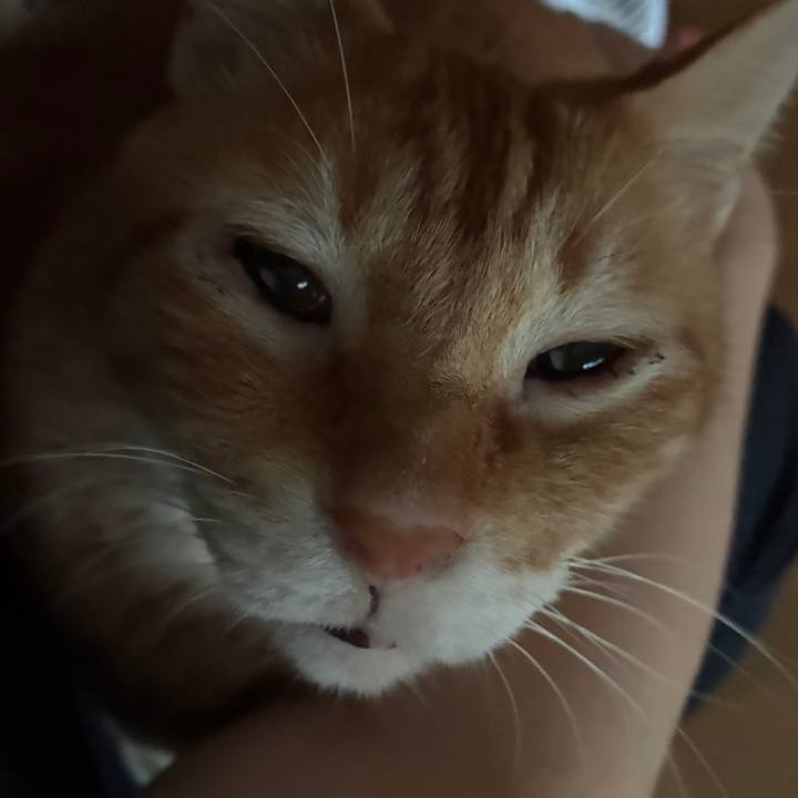 D8bc6e48 1fe5 448c b0b9 a6c1241f7ee3 1757016401658