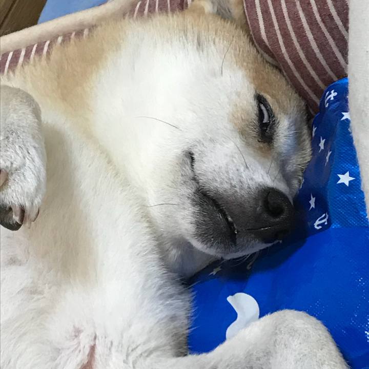 D8bc6fba 8d75 453b 834b 3a8bd9ed4faf 1534835056807