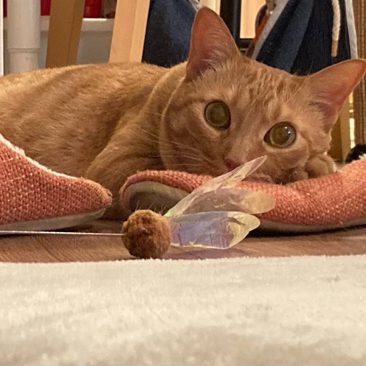 D8bce9a6 e294 4daf 9066 296d3b3dc9c4 1623151267337