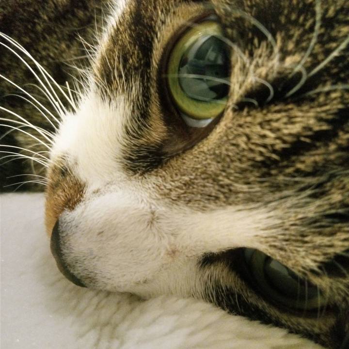 D8bd04dd 707c 4d1f b119 3702e0810ade 1764407658385