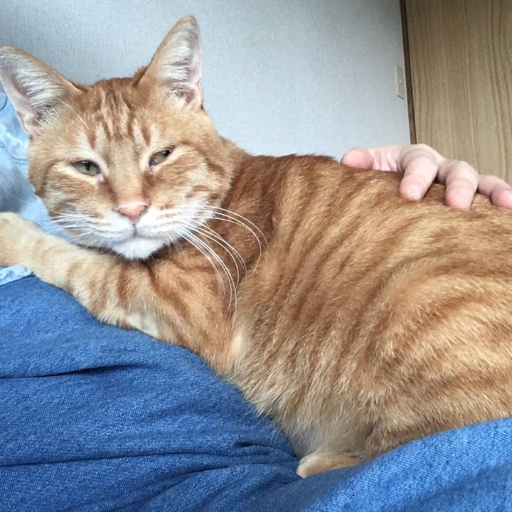 D8bd2992 7ccb 42f5 8172 aeaefe409bb1 1541899436716