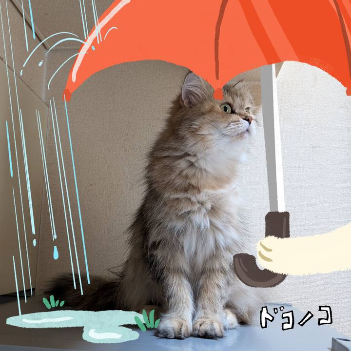 D8bd42c5 84d4 4807 ab7c be74737e7158 1749338880996