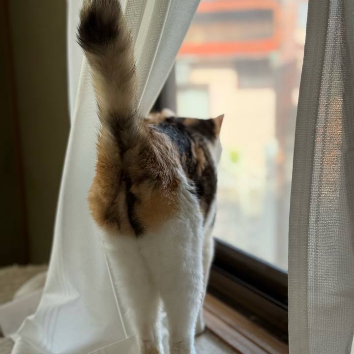 D8bd9475 9e48 4a49 a2a8 bd79538ae32a 1748224899624