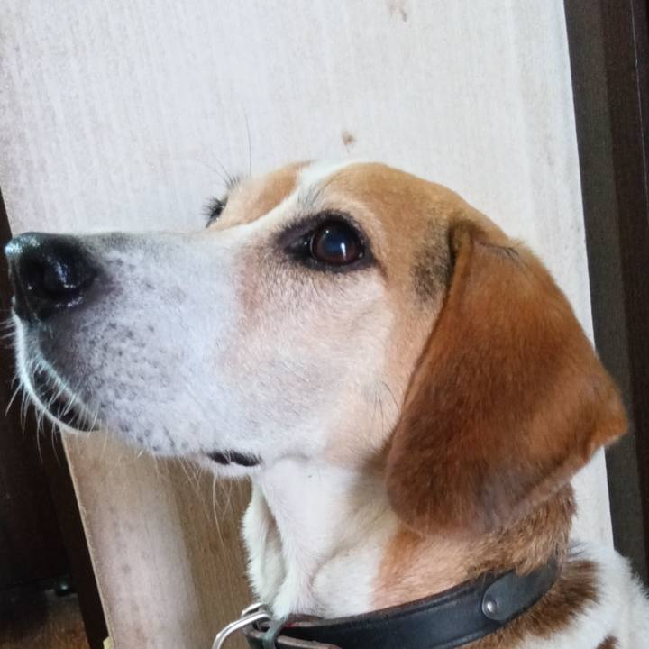 D8bda158 06d9 47d9 bc87 e67d07781c9c 1735023955837