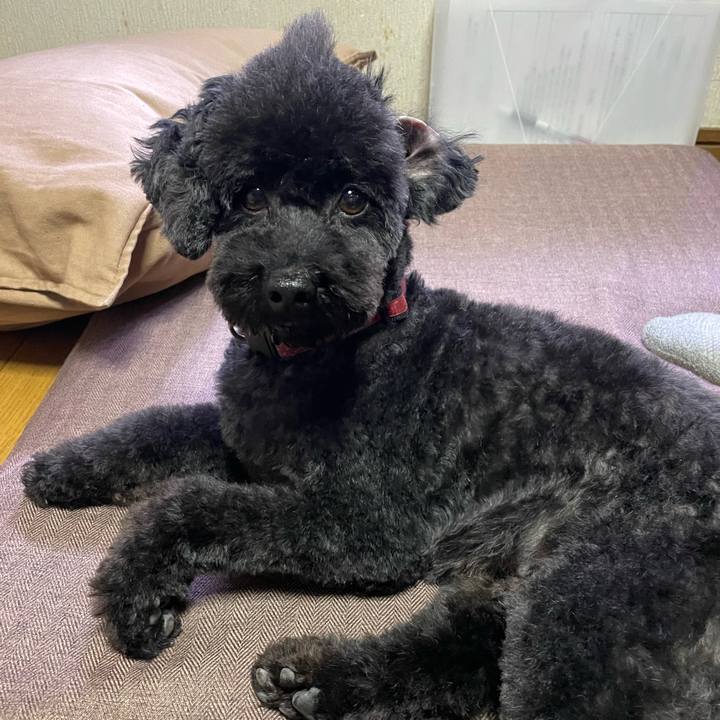 D8bdb0ae 31ce 4a5f 8025 48a18641dc6a 1697880020020