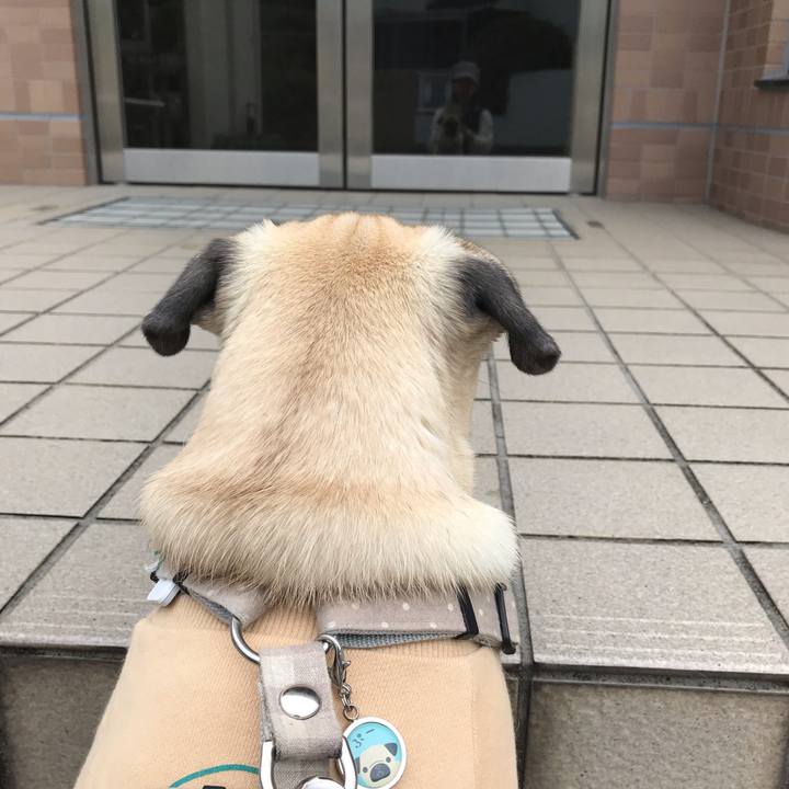 D8bdb119 ac17 48d7 ae76 463df41ff5db 1541374453029