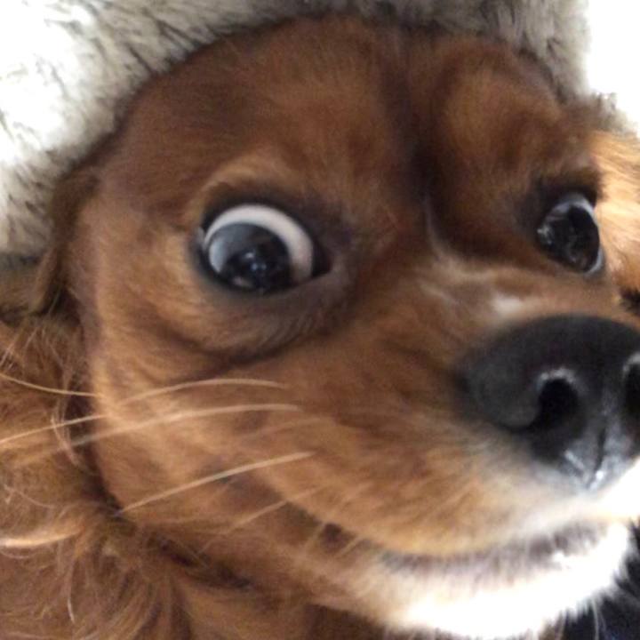 D8bdfbfa bf6d 4d3c bf9d 0f9c15feccfd 1550528843360