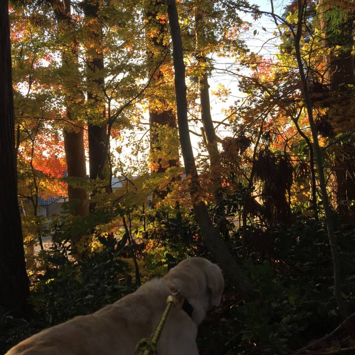 D8be0702 5bd9 4c9c 9703 bc8ee9f48ef2 1571716062208