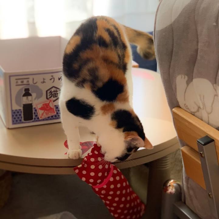 D8be1d38 8a14 4849 a983 318696a1df3e 1575425424432