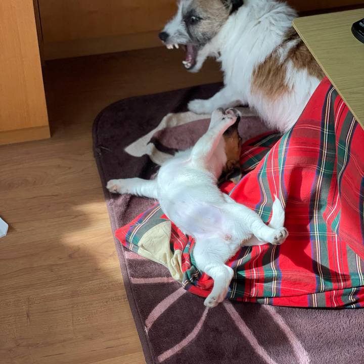 D8be89d8 b8e2 4784 b920 51962f05609f 1616476486772