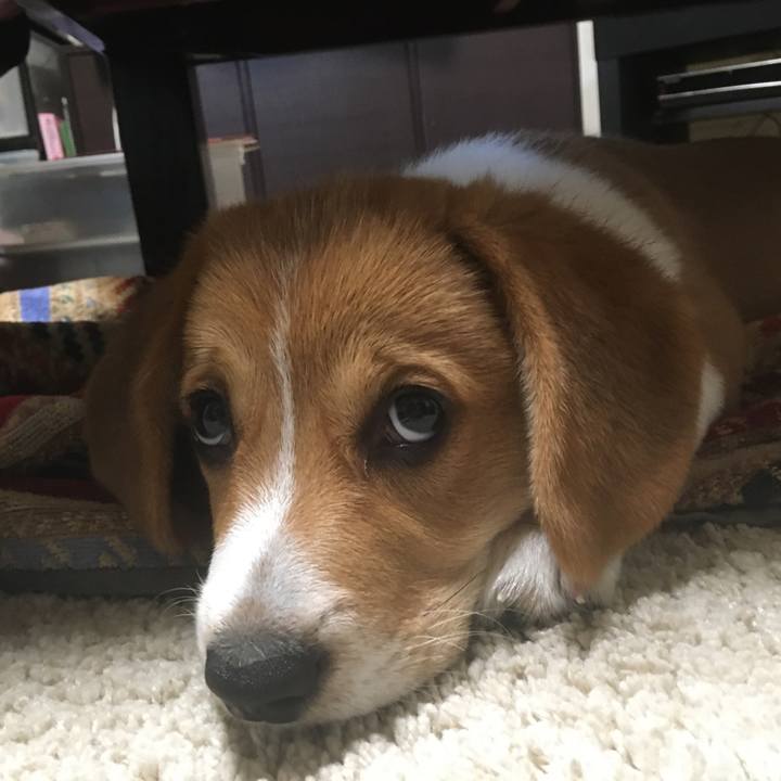 D8be8bc9 0e88 484b 862a 71ed1c8b9a36 1591533112875