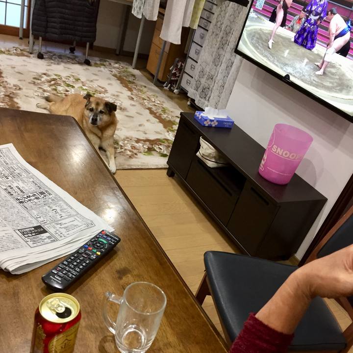 D8bef43d 7850 43ba a4ea bd3922bb9c6e 1584785074666