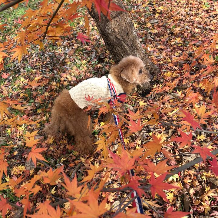 D8bf04f9 b08e 4e30 a965 1ab28cbdd913 1637911548910