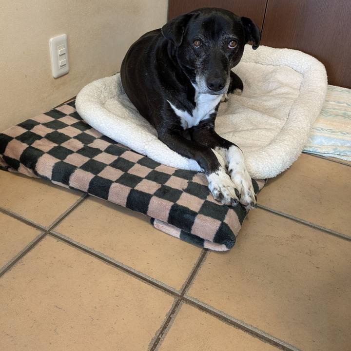 D8bf0fc8 43a9 41c9 a71f c73d171959af 1764290683692