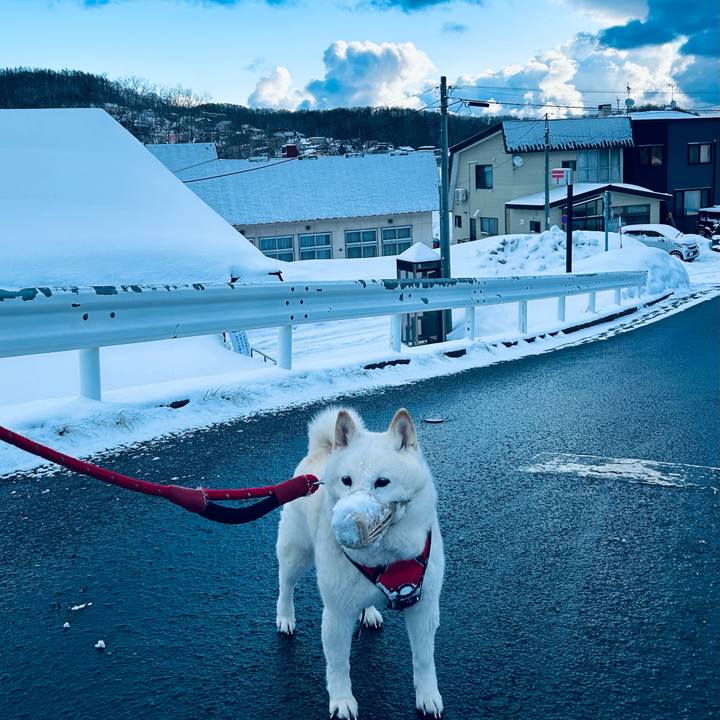 D8bf211d cbda 4f45 9f8b 61fc8e456f5f 1710800557873