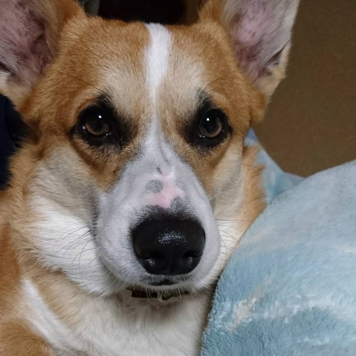 D8bf2fe6 773d 4619 ba28 b585bf63ef60 1578737133361