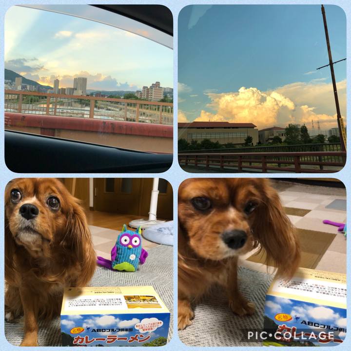 D8bf39c2 cd61 4569 8520 7918fd39e7b1 1598616001872