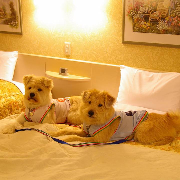 D8bf551d af71 4ecb 96a7 25b1cc0283f1 1536235060889