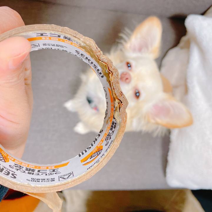 D8bfc6ef b59f 46e8 865a 9b4859beeb8d 1637416895255