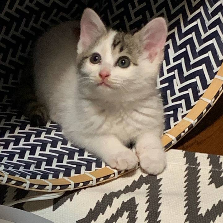 D8bfd769 ac20 41ff 9444 85da7a2652c6 1591617874300