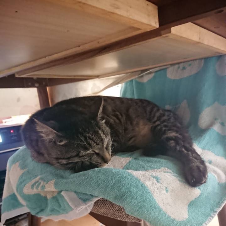 D8c017bb 847f 47a4 8b44 79847621f978 1652908337194