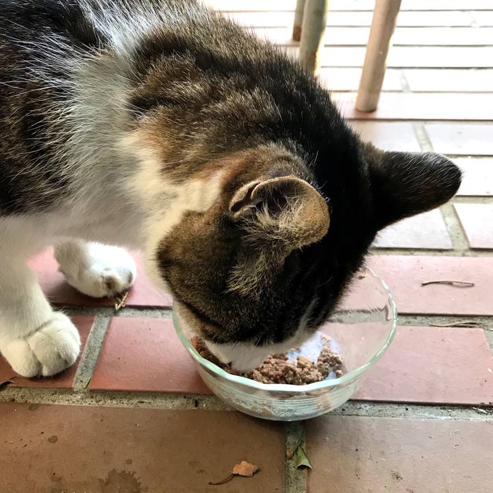 D8c055f1 7225 414c 9e69 a44e80cb3f84 1574151714964