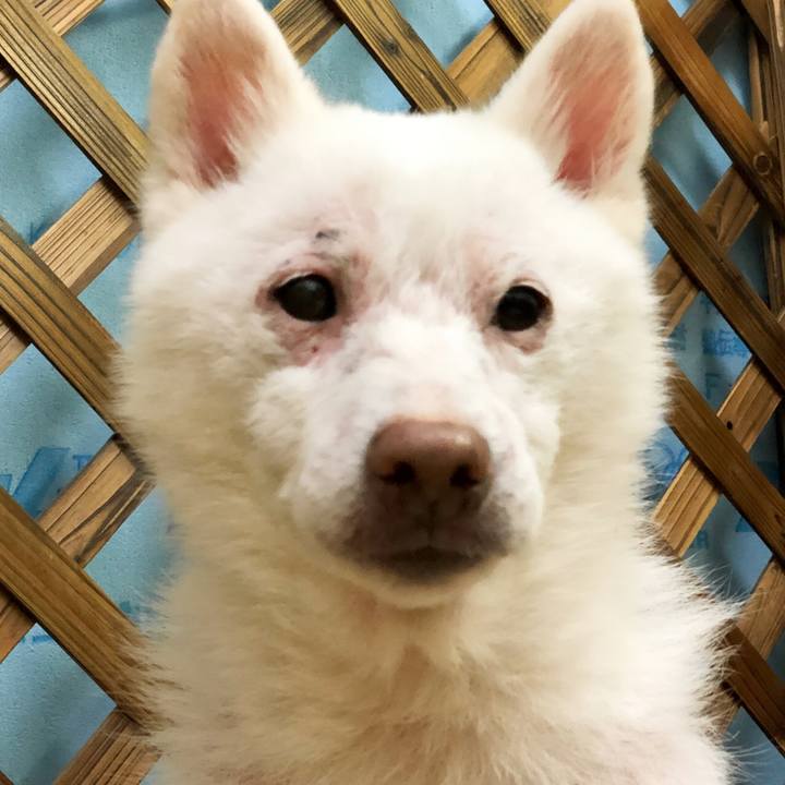 D8c05e43 1b91 424c 8e65 10749ba1b1f4 1566825187908