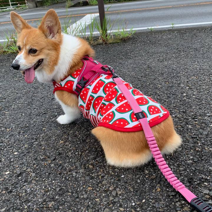 D8c06983 0886 4ade bb3d fc605a541c36 1659836802748