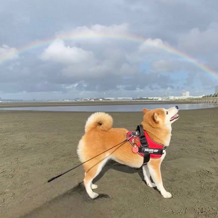 D8c0a15e f7fc 4e2e 8b61 91a5940c03fe 1691742280231