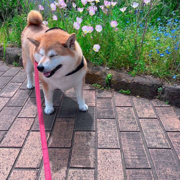 D8c0addd e608 4737 b637 2c6e14037a72 1682742315395