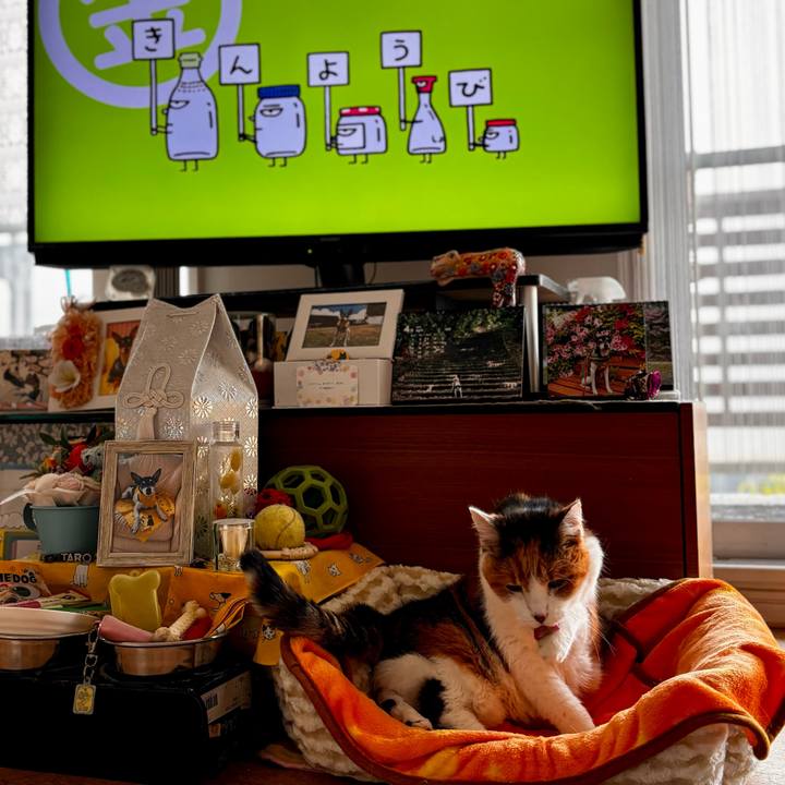 D8c0bba8 472e 45a4 8349 001723593be8 1714082439462