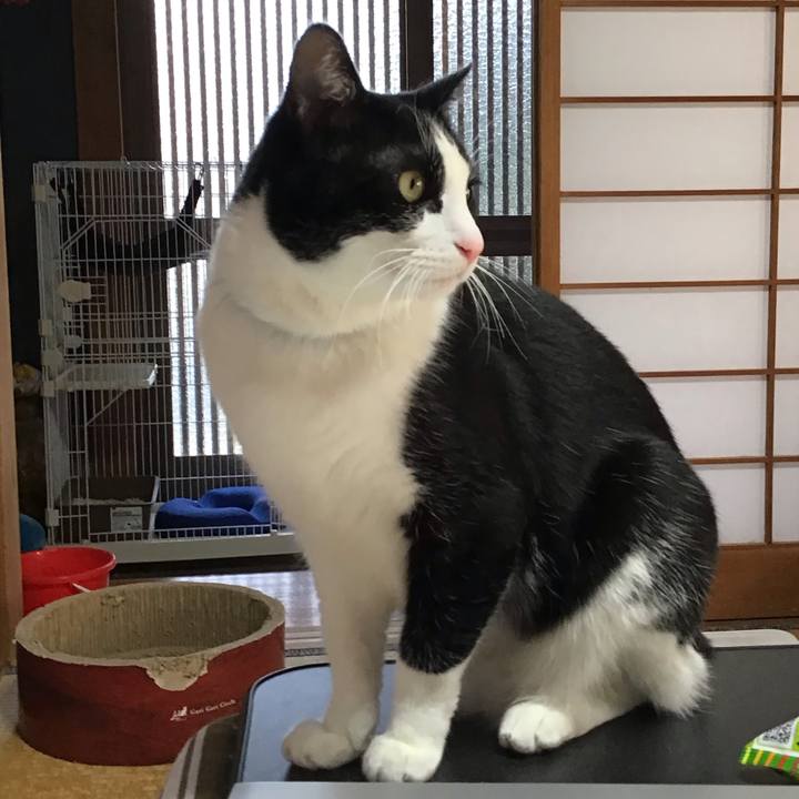 D8c0c457 0743 4ac2 b555 26057f1f4f6b 1709292271791