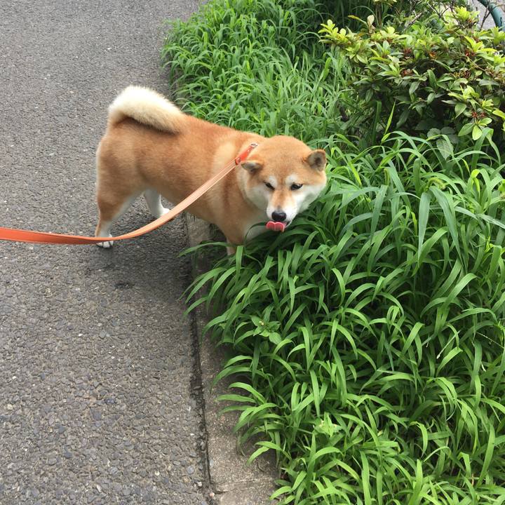 D8c0d8fe ef35 4936 bdc3 ce4fd03cc0b4 1562299556602