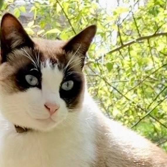 D8c0e001 fe7c 4520 8ea7 e4bdaf6dae56 1743386215374