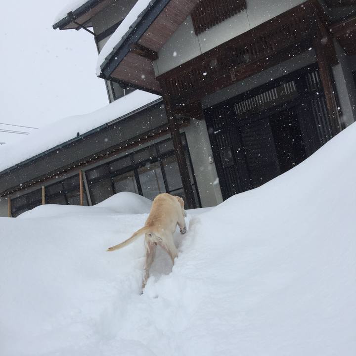 D8c0eb8b ac93 4344 964d 0bf5e3f36470 1518487704795