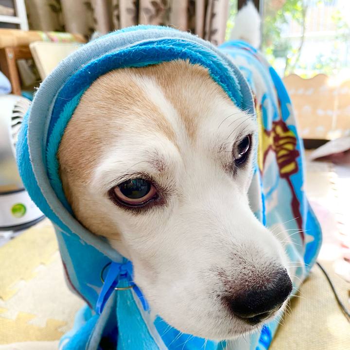 D8c0f3c5 dc5c 4ede afe2 0464300f1f5a 1634528798535