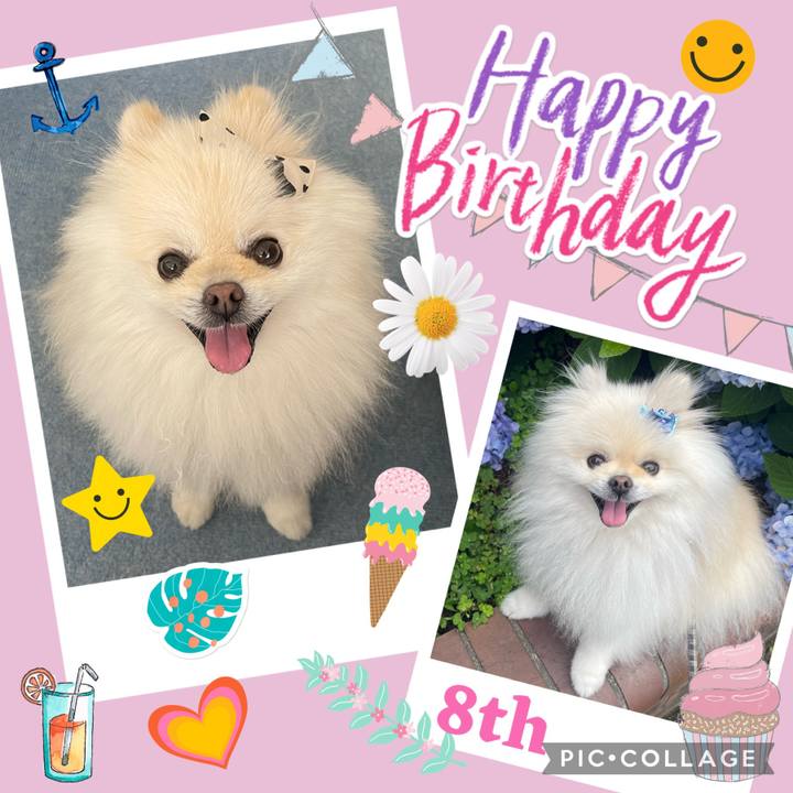 D8c11a6f a5cf 4d51 80f0 d389ca830f1b 1691600763547