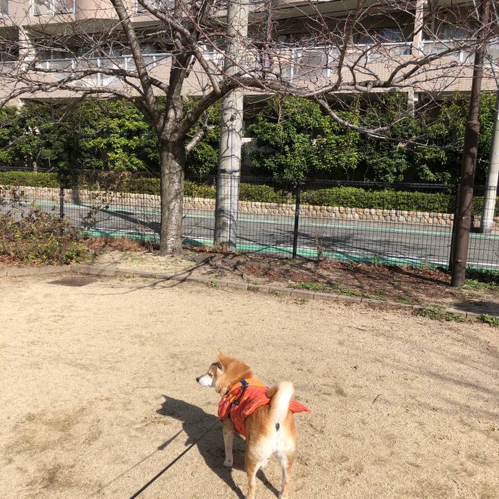 D8c1205c bf46 4d10 90e8 fa38ccaa257d 1581923355981