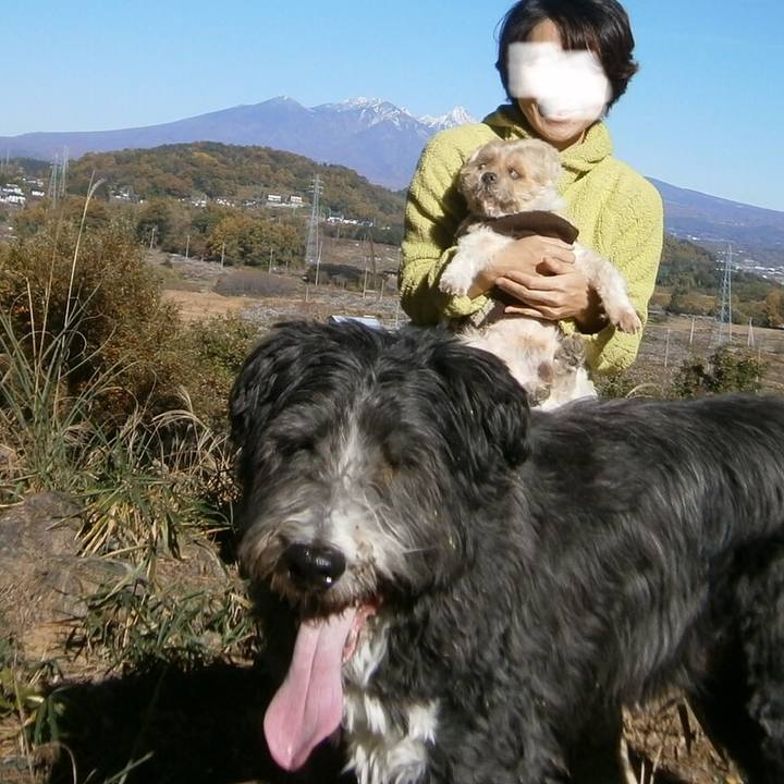 D8c1263c d927 47df a9f1 3bbe1489c33e 1540375784222