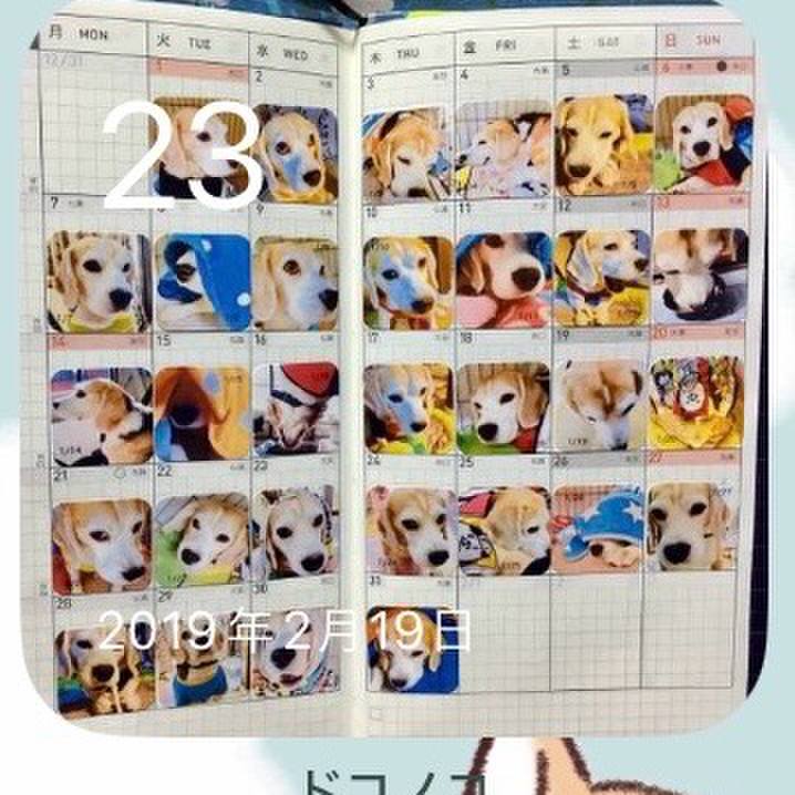 D8c1a857 b240 4904 b18e 263a8160aca7 1708645515779