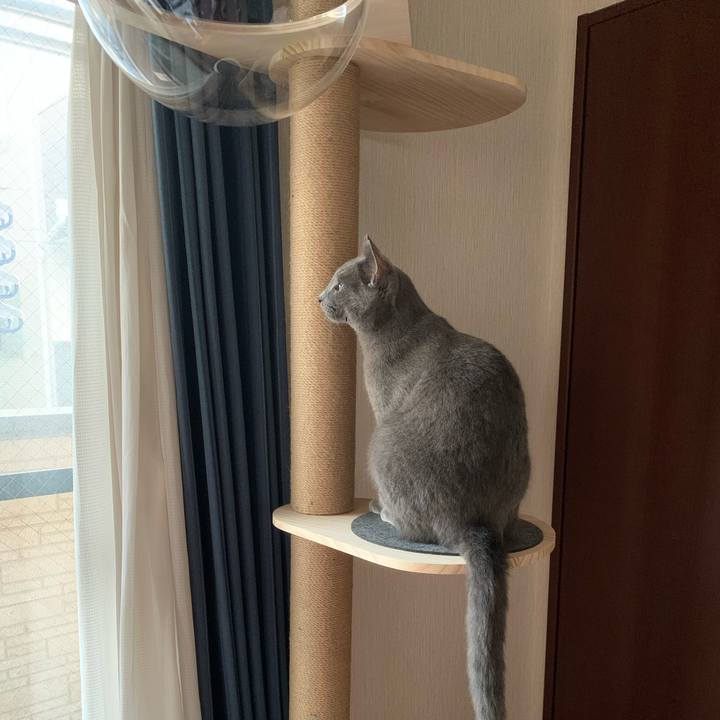 D8c1bf7c a8cd 4bfa 994e 0c222ab5edc8 1591733934207