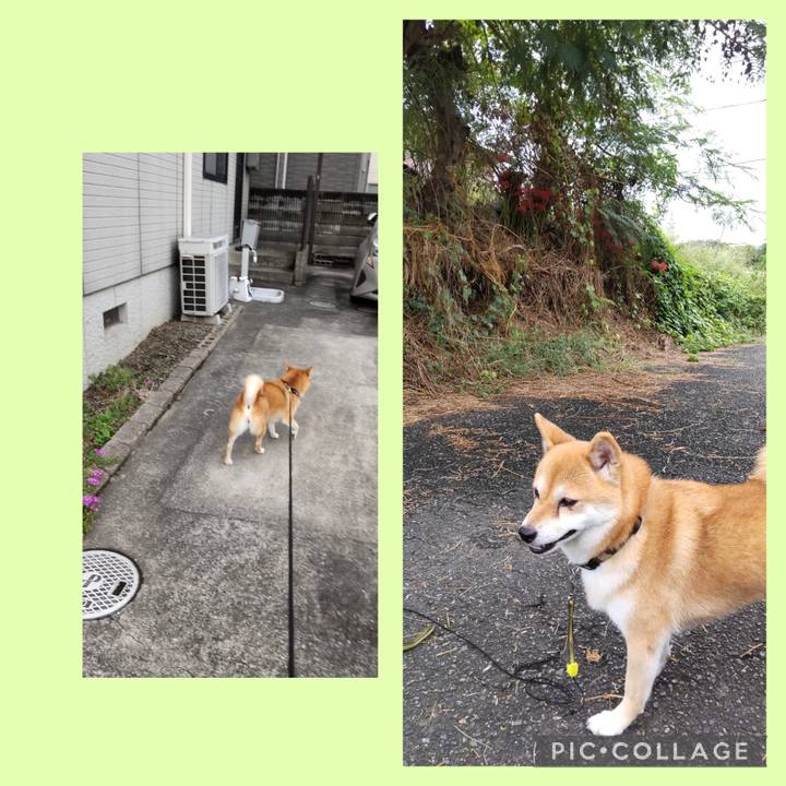 D8c1faf1 7798 470c b5f3 facf154615b8 1728023009494