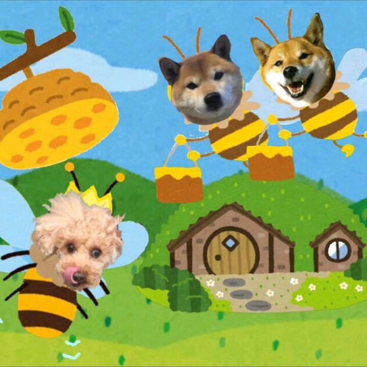 D8c22d06 f661 4bee 9d2c cb9319f5415b 1519957060468