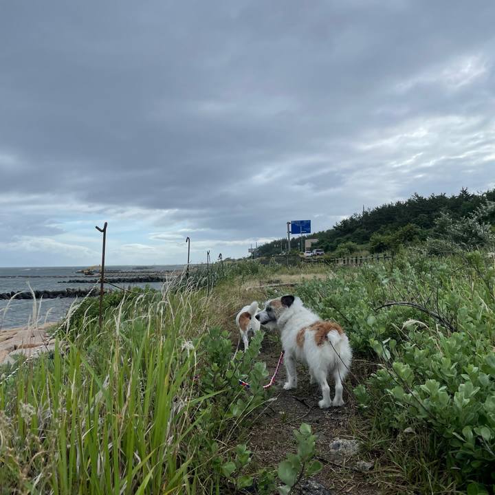 D8c26412 31b2 4419 b88b a9df293328e8 1719792615236