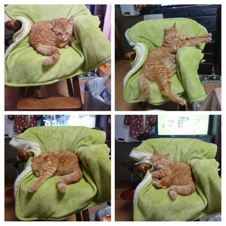 D8c2697f 6ef9 4457 9d2f 35a99049eea1 1648270792379