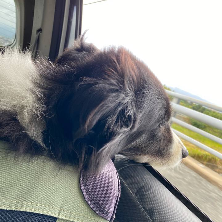 D8c286b6 7284 4b52 91b4 1efbe14a4163 1697764591793