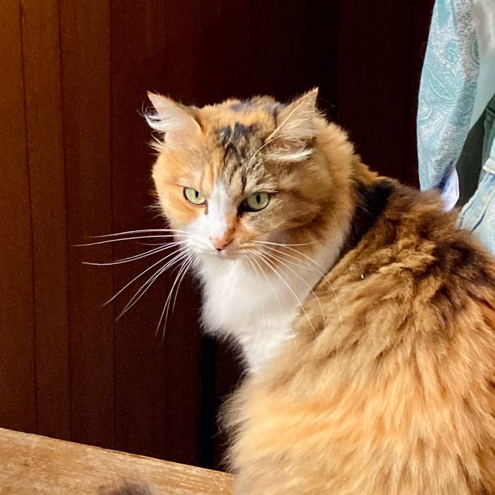 D8c28d6d aff8 4bd2 bf16 ae591dfcd288 1634187877341