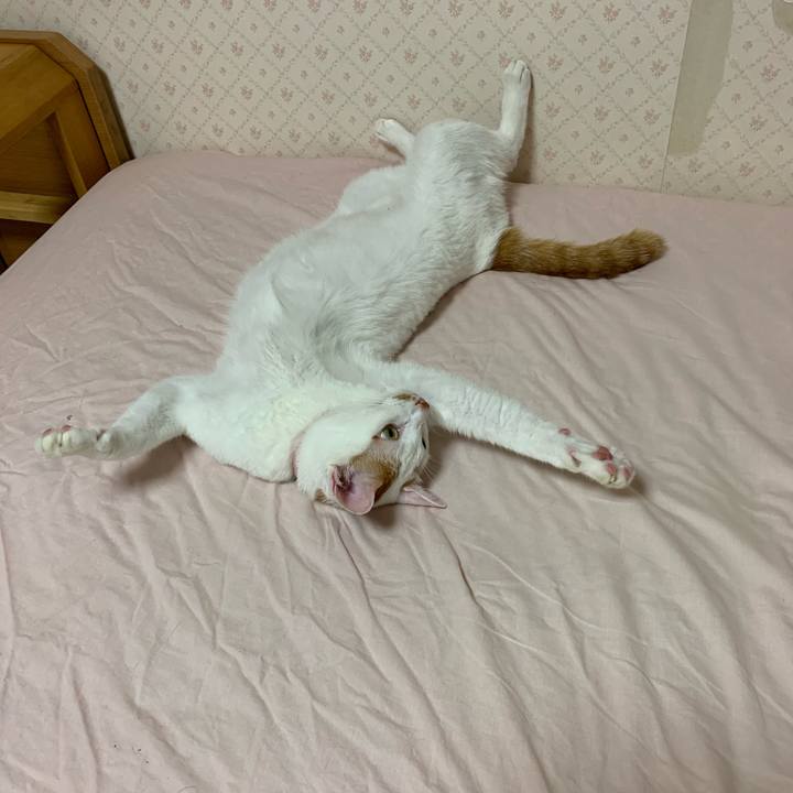 D8c2afd1 0e24 4d8b a444 2cc7e14c74a1 1568470615911